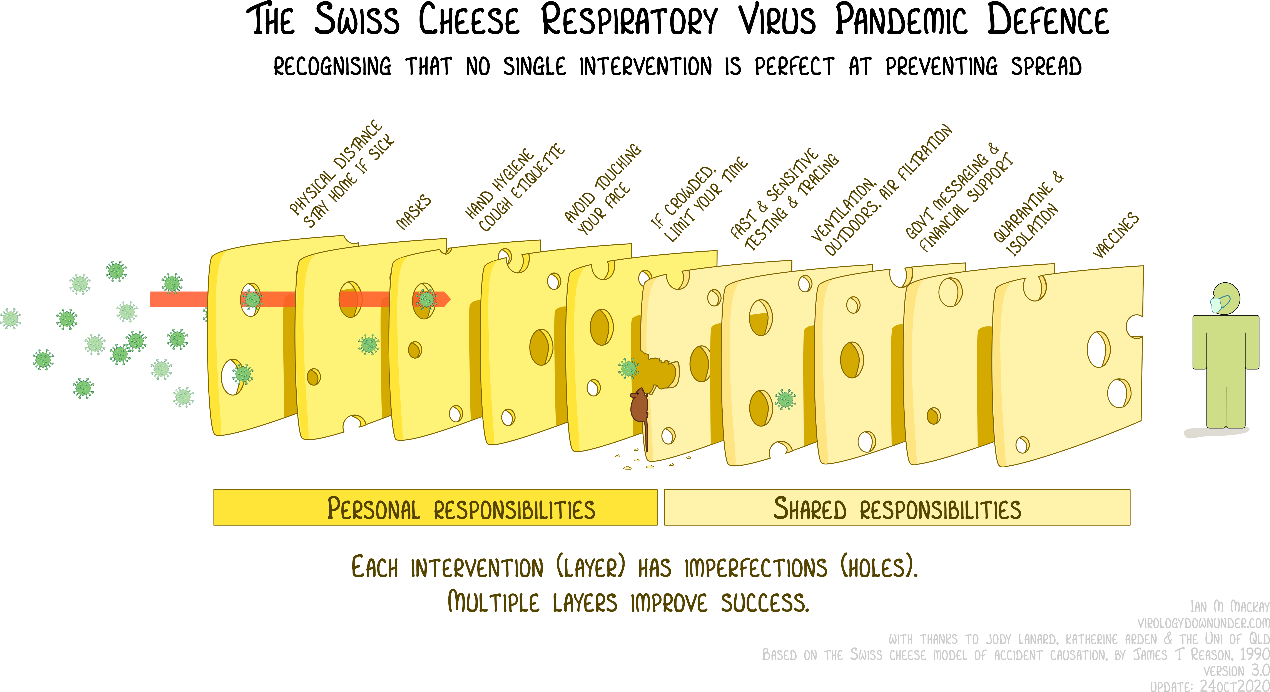 The Swiss Cheese